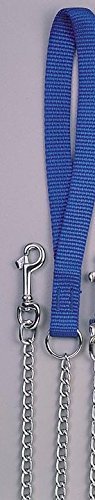 OmniPet Lead Medium Duty Chain with Nylon Handle, Blue, 4'/2.5mm
