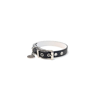 BUDDY BELT Animal Collar, 12-14" x 1/2", Black