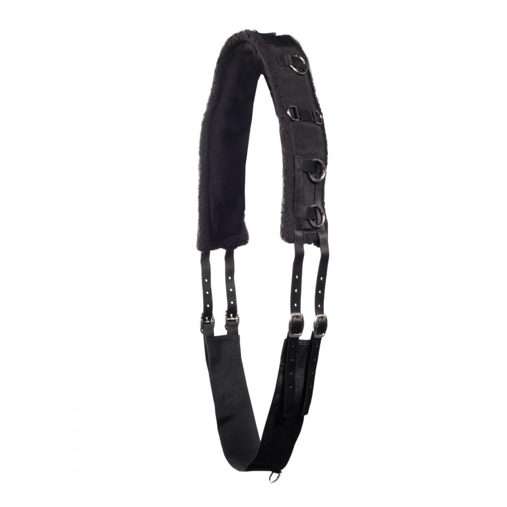 HORZE Weightlifting Belt, Horse, Black