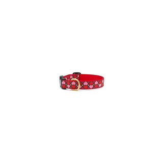 Up Country Animal Collar, Size 14, Red