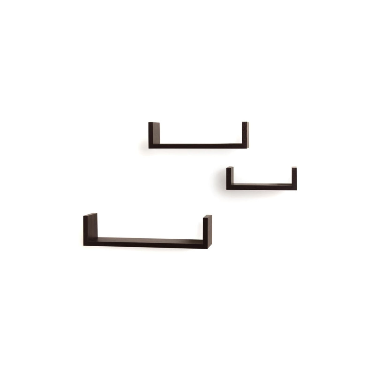Danya B Shelf