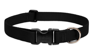 LupinePet Animal Collar