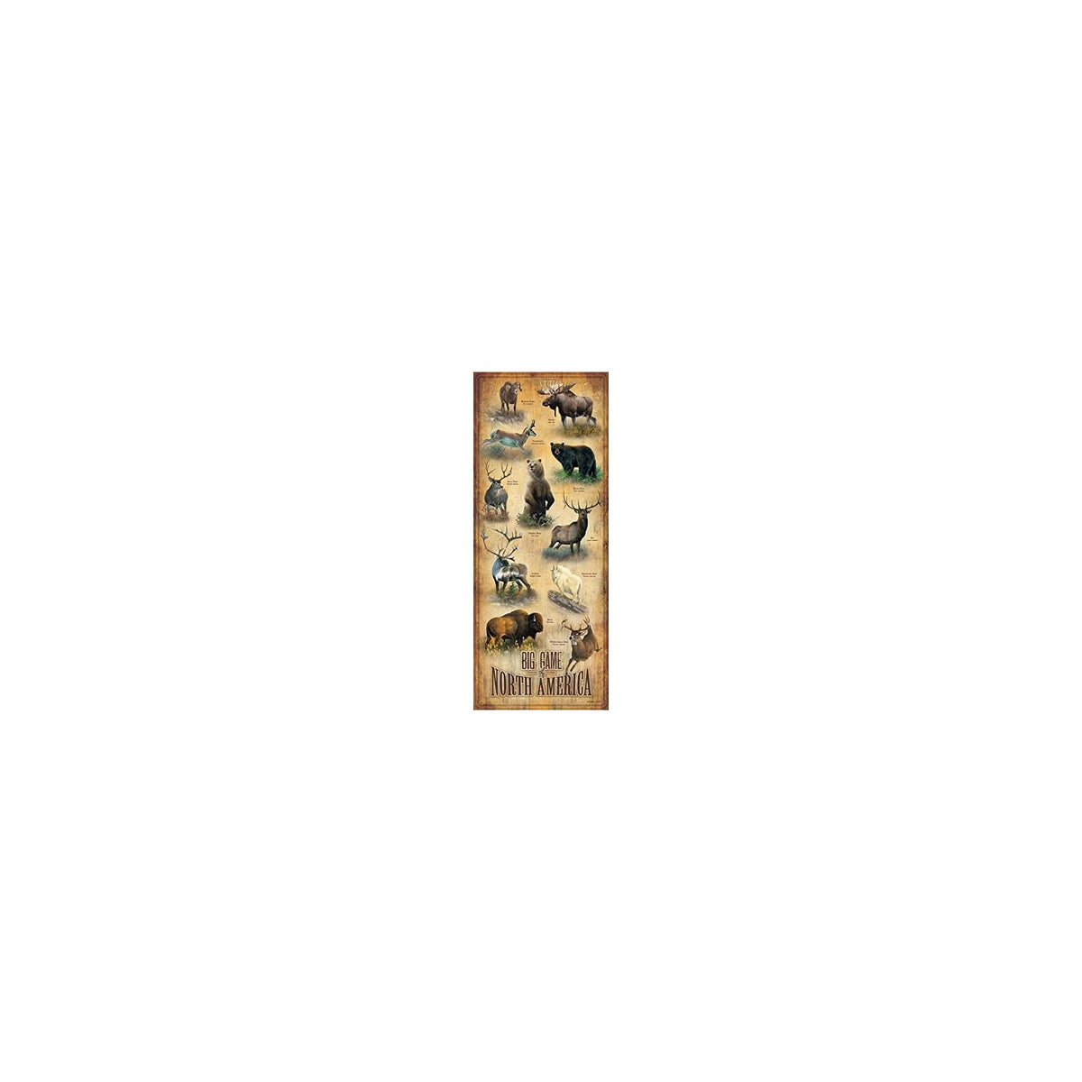 Wild Wings Wall Art, 18"L x 12"W, Multi