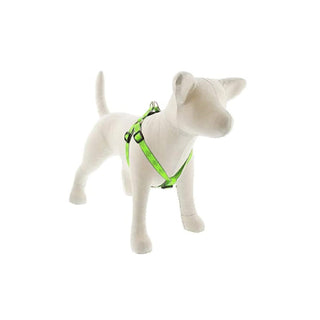 LupinePet Animal Harness