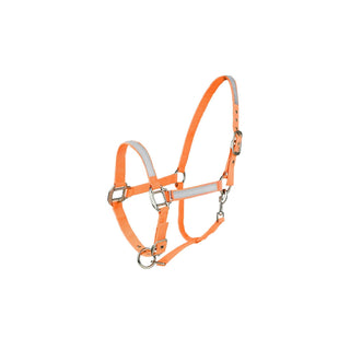 HORZE Pet Supplies, Warmblood, Orange