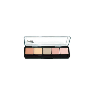 Graftobian Skin Foundation Concealer, 1 Count (Pack of 1), Corrector Palette