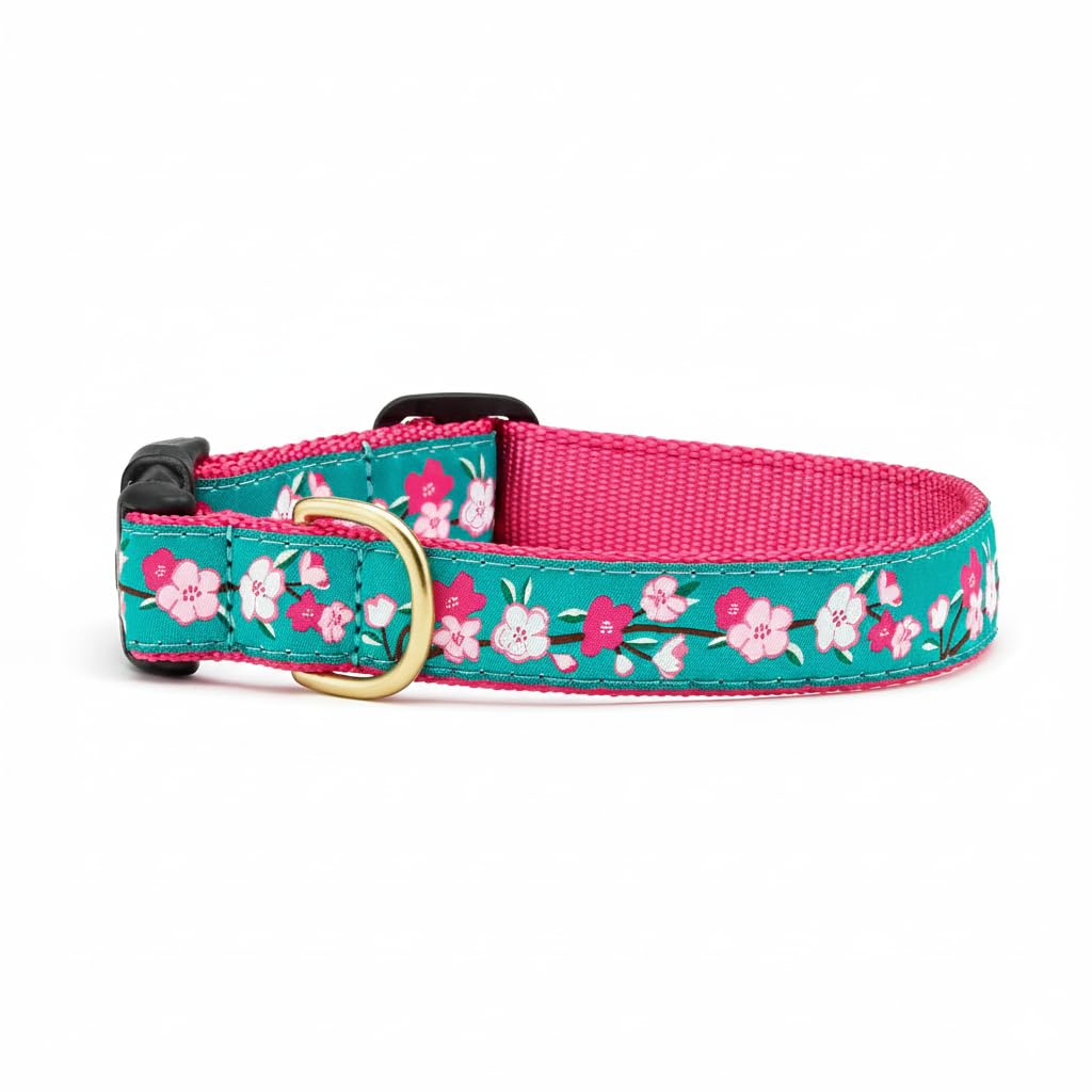 Up Country Animal Collar, Small (9 To 15 Inches) 1 Inch Wide Width, Pink