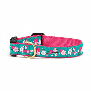 Up Country Animal Collar, Small (9 To 15 Inches) 1 Inch Wide Width, Pink