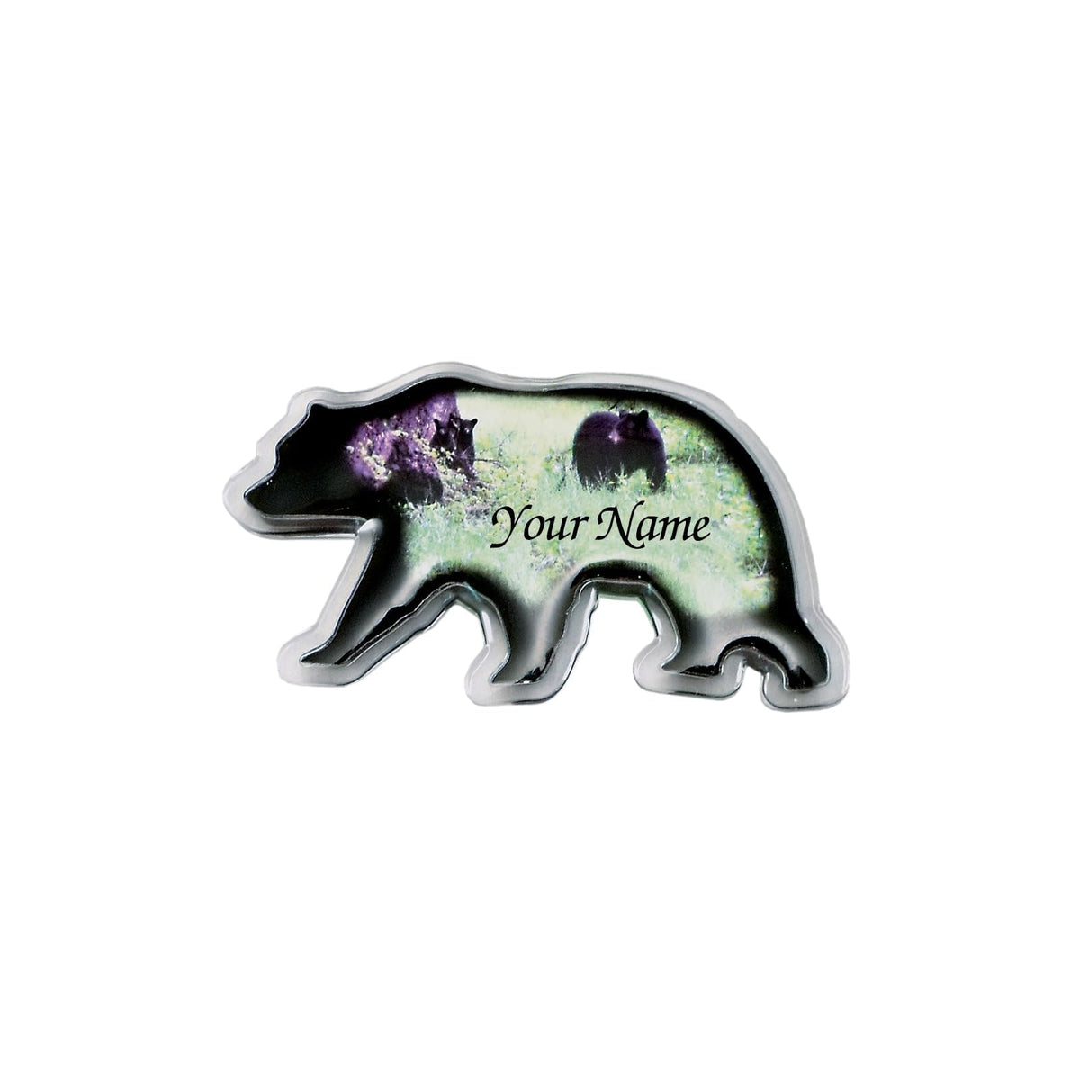 Lipco Decorative Magnet, Multi Color