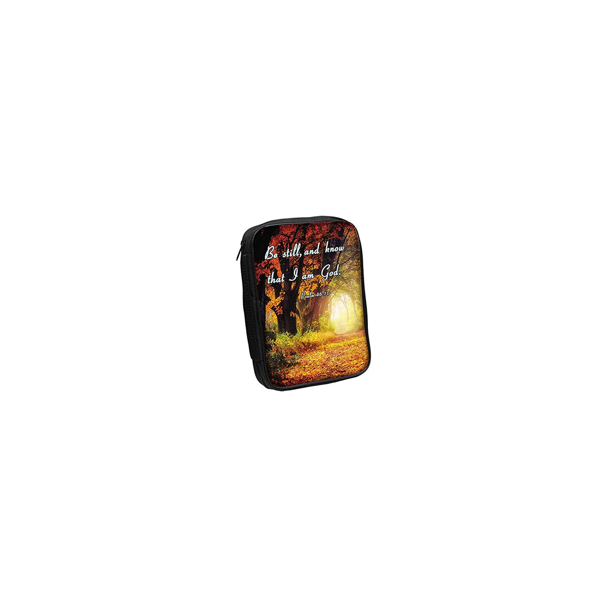 Ebony Treasures Book Cover