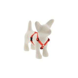 LupinePet Animal Harness