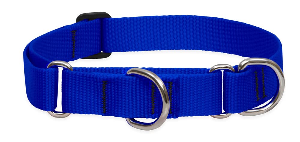 Lupine Pet Basics 1" Blue 19-27" Martingale Collar for Large Dogs