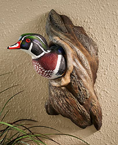 Wild Wings “Wood Duck” Wall Sculpture by Phil Galatas – Hand-Painted 3D Cold Cast Wildlife Décor with Realistic Glass Eyes, 16" H Lifelike Waterfowl Art