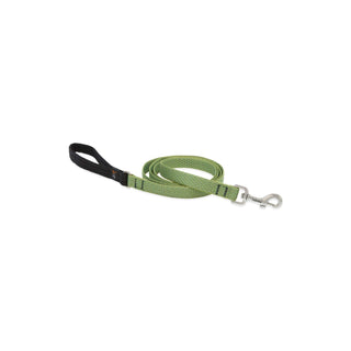 LupinePet Leash, 3/4" wide; 4-foot long, Moss