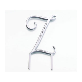 Lillian Rose Cake Topper, 4.5", Silver