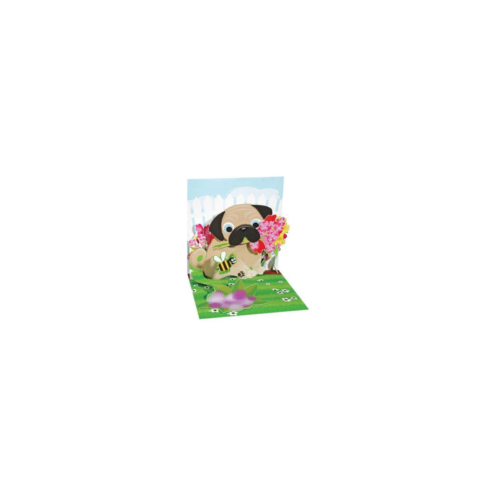 Up With Paper Greeting Card, 3"x3", multicolor