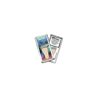 FootWhere Decorative Magnet