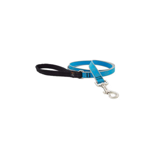 LupinePet Leash, 3/4"w; 6-foot, Blue