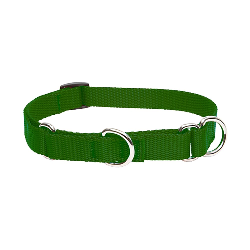 Lupine Pet Basics 3/4" Green 14-20" Martingale Collar for Medium and Larger Dogs
