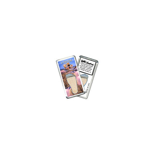 FootWhere Decorative Magnet