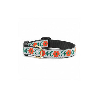 Up Country Animal Collar