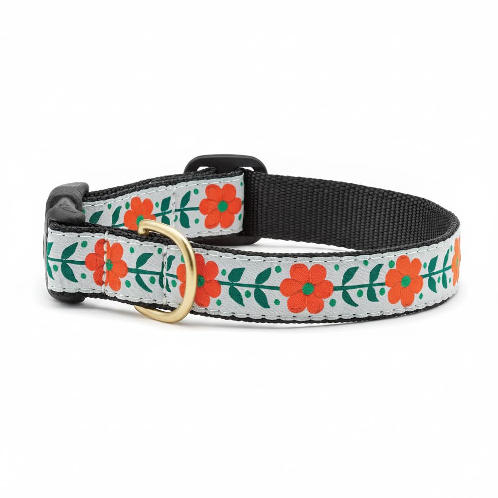 Up Country Animal Collar