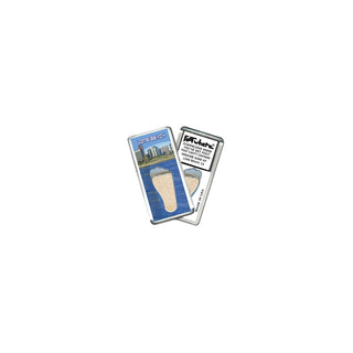 FootWhere Decorative Magnet