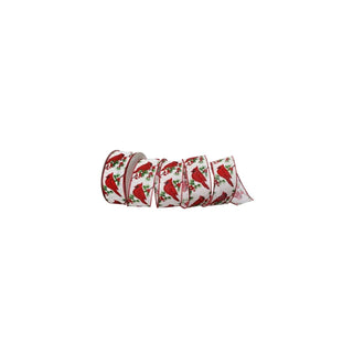 Regency International Decorative Ribbon Trim
