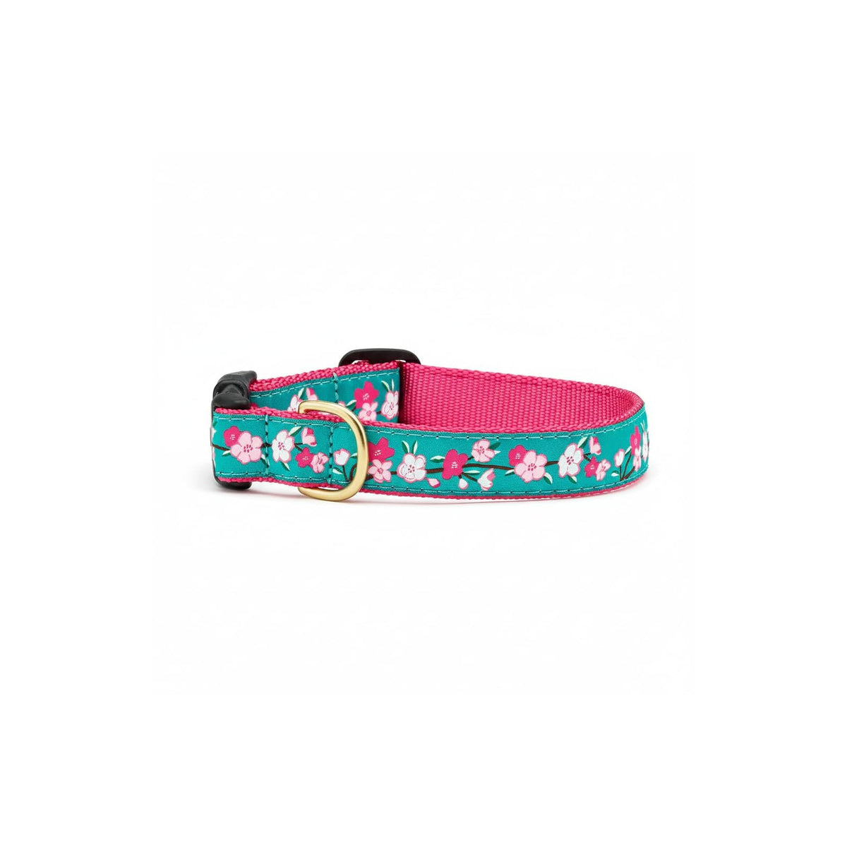Up Country Animal Collar