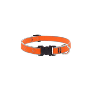 LupinePet Animal Collar, 3/4"w; 13-22", Orange