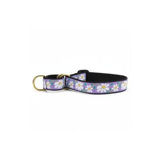 Up Country Animal Collar