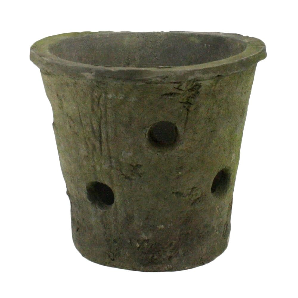 HomArt Rustic Terra Cotta Orchid Pot, Moss Grey, 1-Count