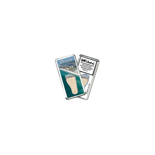 FootWhere Decorative Magnet