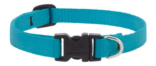 Lupine Pet Small Dog Collar 1/2" Wide Aqua adjusts 10-16" Long