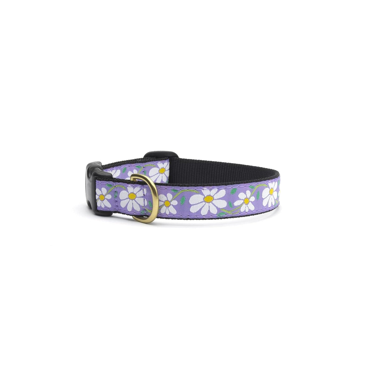 Up Country Animal Collar, Medium, 5/8 inch wide width, Purple
