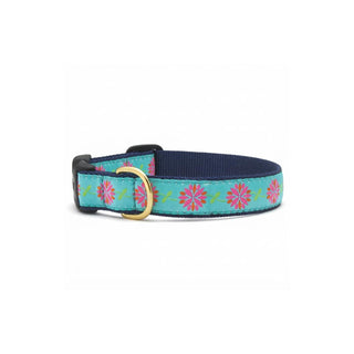 Up Country Animal Collar