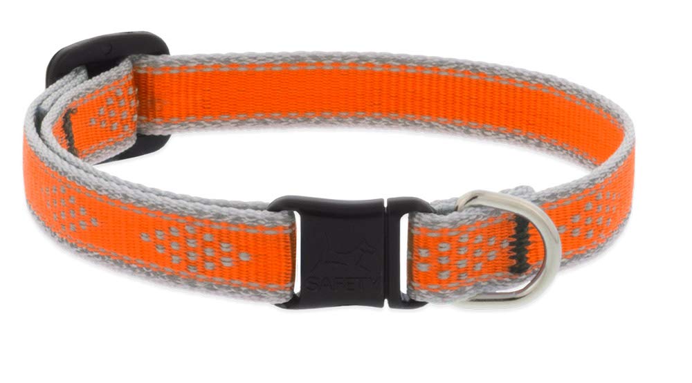 LupinePet Animal Collar