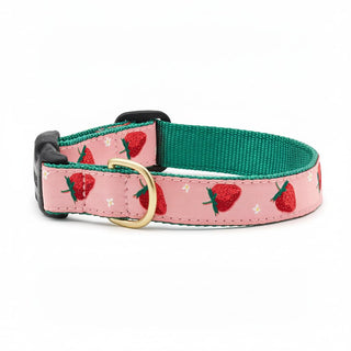 Up Country Animal Collar