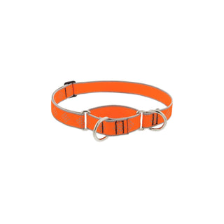 LupinePet Animal Collar, 1"w; 15-22", Orange