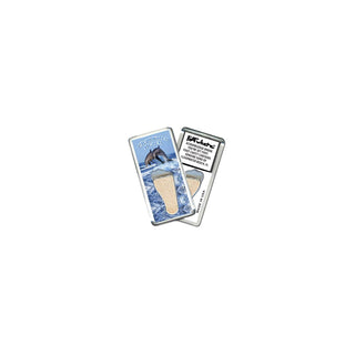 FootWhere Decorative Magnet