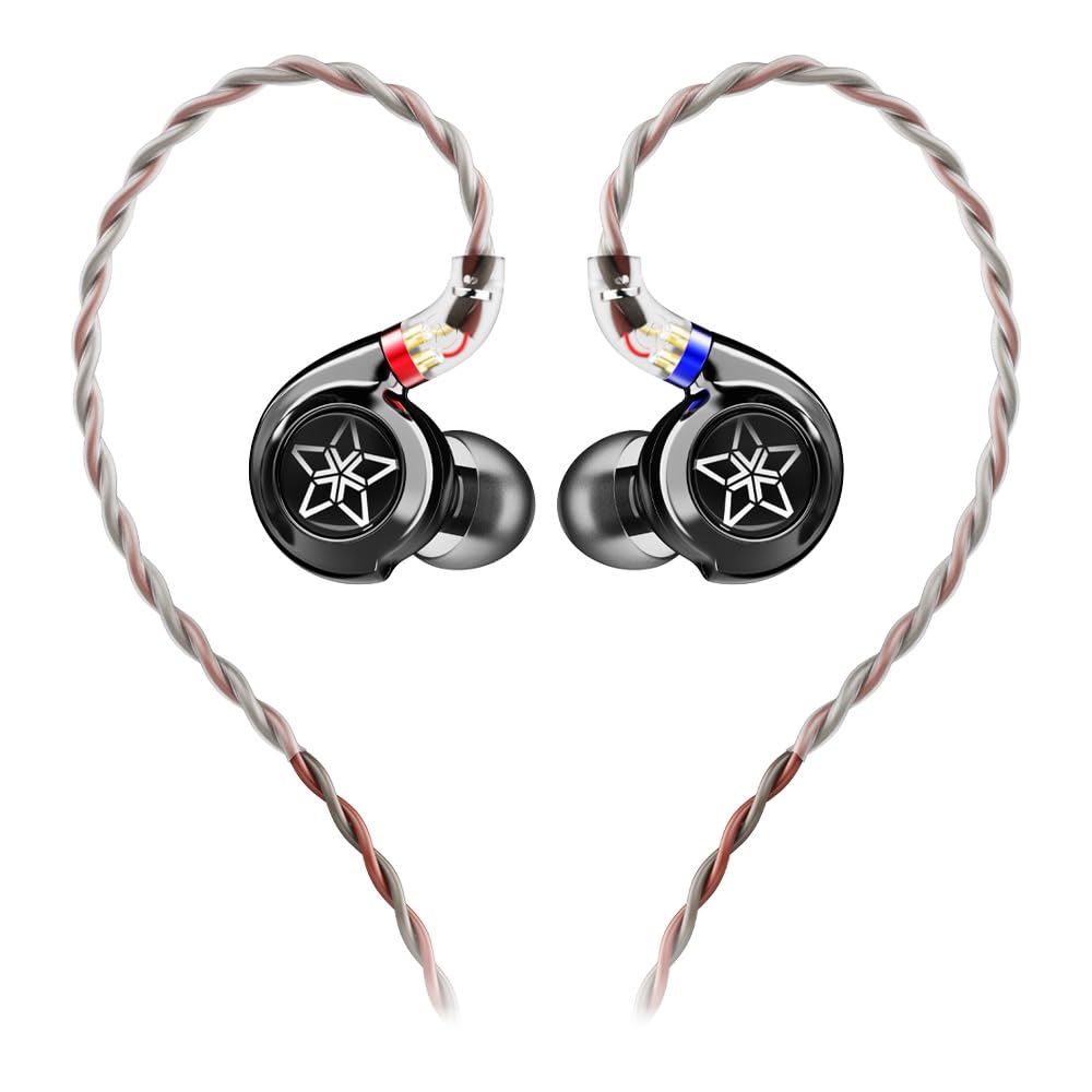 FiiO FH11 HiFi 1DD+1BA Hybrid Driver in-Ear IEM Earphone with Detachable 0.78 2Pin Cable HiFi Stereo Wired Earbuds for Musician/Audiophile