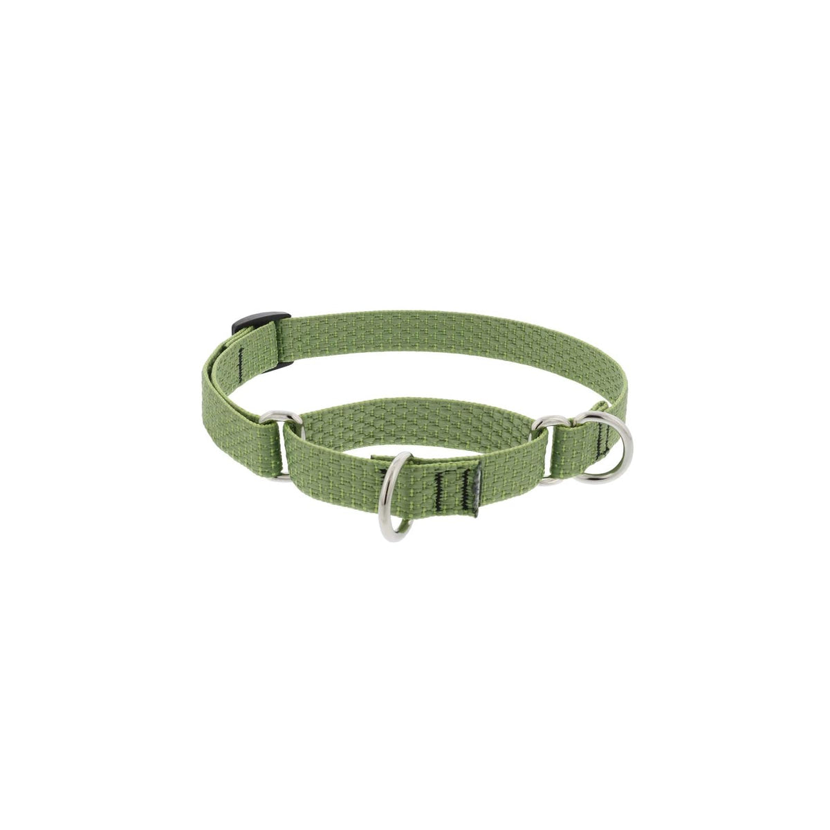 LupinePet Animal Collar, 3/4" wide; 14-20" around, Moss
