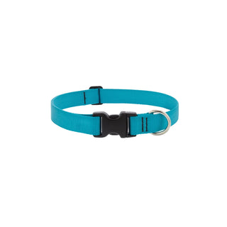 LupinePet Animal Collar, 1" wide; adjusts 25"-31"", Aqua