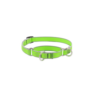 LupinePet Animal Collar