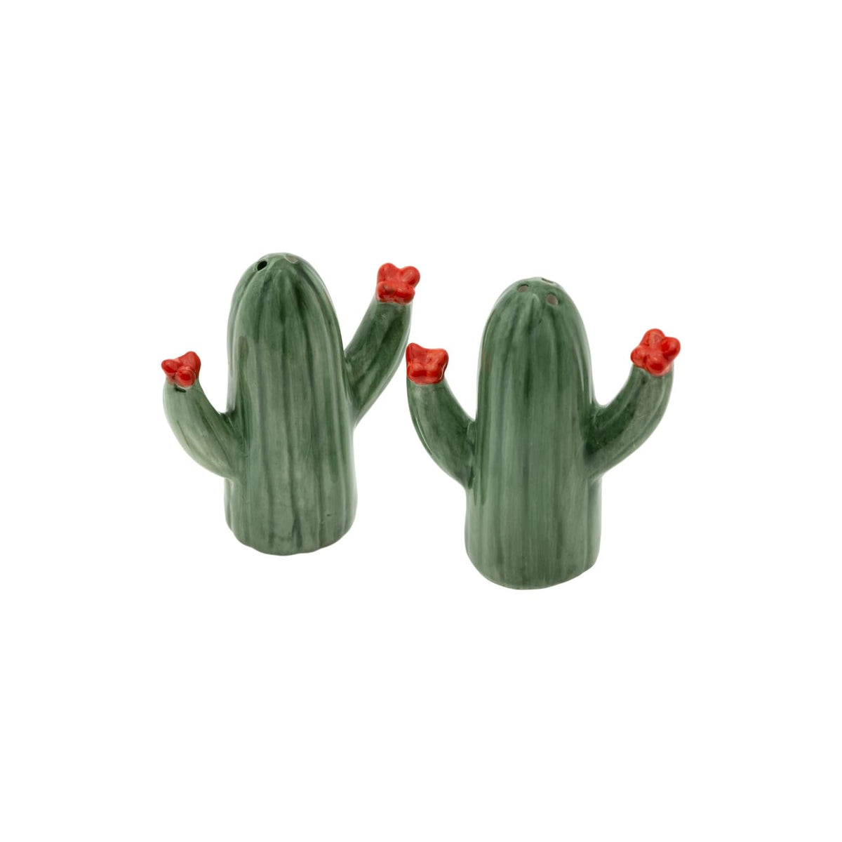 Boston International Food Shaker, Set of 2, Cactus Bloom