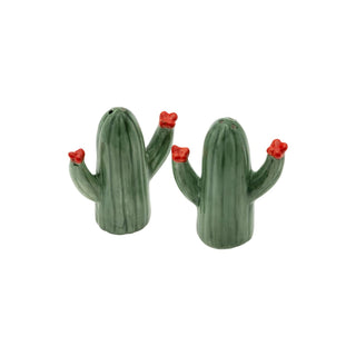 Boston International Food Shaker, Set of 2, Cactus Bloom