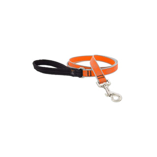 LupinePet Leash, 3/4"w; 6-foot, Orange