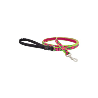 LupinePet Leash, 1/2" wide by 4-feet long, Pink, Green