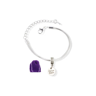 Emerald Park Jewelry Bracelet, Silver, Chain,Charm