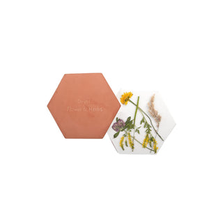 Fallen Fruits Art Craft Kit, 19.5cm x 17cm, Orange